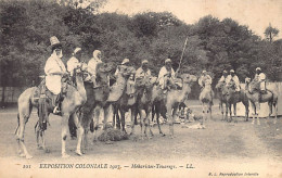 Algérie - Méharistes Touaregs à L'Exposition Coloniale De 1907 - Ed. B. L. 101 - Scènes & Types