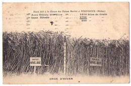 (69) 090, Vénissieux, Essai Fait à La Ferme Des Usines Berliet, Agriculture Nitrate De Soude, état - Vénissieux