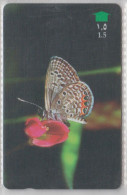 OMAN 1997 BUTTERFLY GRASS JEWEL - Papillons