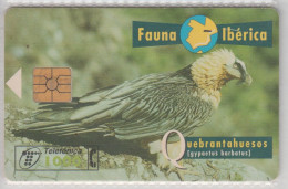 SPAIN 1996 FAUNA IBERICA BIRD QUEBRANTAHUESOS LAMMERGEIER - Arenden & Roofvogels