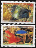 Nouvelle Calédonie 1988 - Yvert N° 551/552 - Michel N° 821/822 ** - Unused Stamps