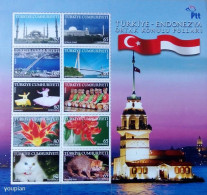 Türkiye 2008, Joint Issue With Indonesia, MNH Sheetlet - Neufs
