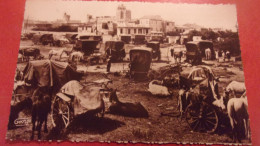 13 SAINTES MARIES DE LA MER CAMPEMENT BOHEMIENS CAMARGUE PROVENCE  PHOTO GEORGE - Saintes Maries De La Mer