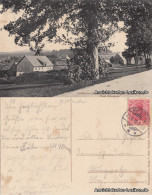 Ansichtskarte Schellerhau-Altenberg (Erzgebirge) Ortsansicht 1919 - Schellerhau