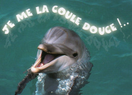 CPM - F - DAUPHIN - JE ME LA COULE DOUCE ! - Dolfijnen