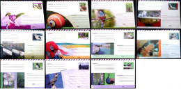 7660  Birds - Oiseaux - Postal Stationery X 11 - Unused - 2018 - 14,75 - Altri & Non Classificati