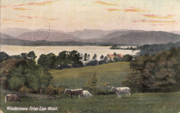 BW38.  Vintage Postcard. Windermere From Low Wood. Cattle - Autres & Non Classés