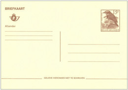 1992 - Briefkaart / Carte Postale - N - Buzin Paapje - Ongebruikt - Cartes Postales 1951-..