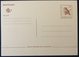 1990 - Briefkaart / Carte Postale - N - Buzin Steenuil - Ongebruikt - Cartes Postales 1951-..