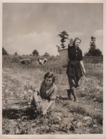 Kent WW2 Women Farming Drugs Medicine 10x8 War Press Photo - Other & Unclassified