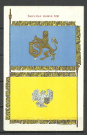 ESTLAND Estonia 1925 Post Card Defence Ligue Kaitseliit SAAREMAA Malev Flag Flagge Military Heraldic - Regiments