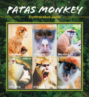 Ghana 2023 Fauna Patas Monkey Sheetlet Of 6  I202401 - Ghana (1957-...)