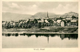 73772644 Wolf Mosel Traben-Trarbach Moselpartie  - Traben-Trarbach