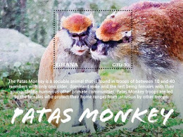 Ghana 2023 Fauna Patas Monkey Sheetlet Of 6  I202401 - Ghana (1957-...)