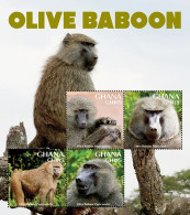Ghana 2023 Fauna Olive Baboon Sheetlet Of 4  I202401 - Ghana (1957-...)