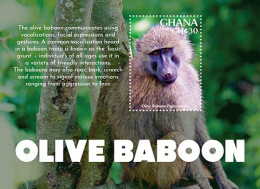 Ghana 2023 Fauna Olive Baboon I202401 - Ghana (1957-...)