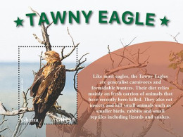 Ghana 2023 Birds Tawny Eagle I202401 - Ghana (1957-...)