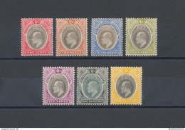 1904  Southern Nigeria , SG 21/31 Edoardo VII°, Not Completely Set , ML* - Andere & Zonder Classificatie