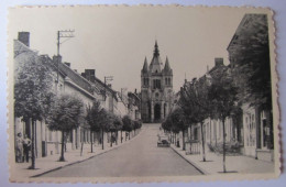 BELGIQUE - HAINAUT - PERUWELZ - BONSECOURS - Avenue De La Basilique - 1954 - Péruwelz