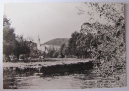 BELGIQUE - NAMUR - VIROINVAL - TREIGNES - Vue De Chaubbe - Viroinval