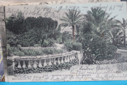 MONTE  CARLO       -    LES  JARDINS   1904    CARTE  DOS  UNI - Exotischer Garten