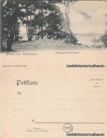 Grunewald-Berlin Gruss Aus Schildhorn - Waldpartie Am Denkmal 1909 - Grunewald