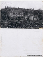 Ansichtskarte Waldheim (Sachsen) Häuser Am Hang 1922 - Waldheim