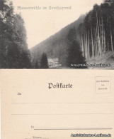 Ansichtskarte Elgersburg Massenmühle Im Lauchagrund 1910 - Elgersburg