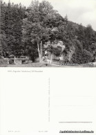 Schmiedeberg (Erzgebirge)-Dippoldiswalde HOG "Putzmühle" 1977  - Schmiedeberg (Erzgeb.)