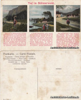 Ansichtskarte  Tief Im Böhmerwald - 3 Bild Text Böhmen Bohemia 1909 - Philosophy