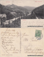 Ansichtskarte Kipsdorf-Altenberg (Erzgebirge) Partie Im Dorf 1905 - Kipsdorf