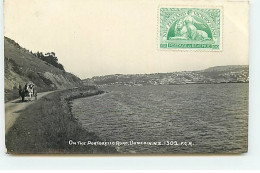 Nouvelle-Zélande - On The Portobello Road - Dunedin - Nouvelle-Zélande