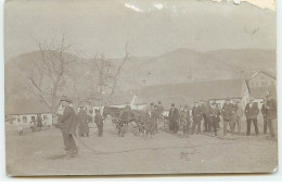 Serbie - RPPC - BOR - Hommes Autour D'un Attelage - Serbie