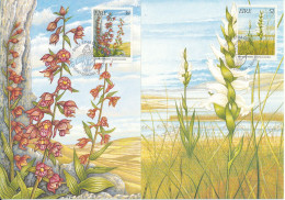 Ireland Maximum Cards 20-4-1993 Fauna & Flora 1993 Complete Set Of 4 - Cartoline Maximum
