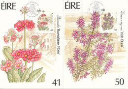 Ireland Maximum Cards 30-8-1990 Fauna & Flora Set Of 4 - Cartes-maximum