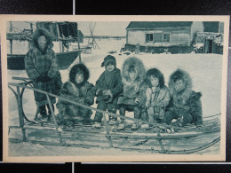 Cercle Arctique Alaska La Jeune Génération... En Fourrures! - Sonstige & Ohne Zuordnung