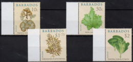 Barbados Fleurs-Flowers-Bloemen XXX 2008 - Barbados (1966-...)
