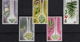 British Honduras Belize Arbres- Trees -Bomen  XXX - Honduras Británica (...-1970)