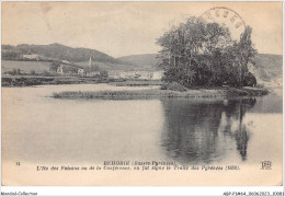 ABPP1-64-0023 - BEHOBIE - L'Ile Des Faisans Ou De La Conférence Ou Fut Signé Le Traité Des Pyrénées - Béhobie