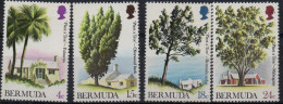 Bermudes Arbres- Trees -Bomen  XXX - Bermudes