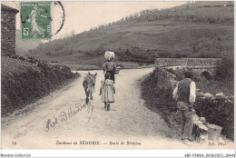 ABPP3-64-0204 - Environs De BEHOBIE - Route De BIRIATOU - Béhobie