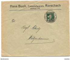 236 - 80 - Enveloppe Envoyée De Rorschach Avec Timbre Pro Juventute 1917 - Lettres & Documents