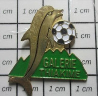 919 Pin's Pins / Beau Et Rare / SPORTS / GALERIE THIAKIME CLUB FOOTBALL DAUPHIN - Football