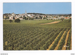 21 MEURSAULT Vue Panoramique Vignoble Vignes Vin En 1975 - Meursault