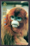 Japan 1V Golden Monkey Special Exhibition Toyama Family Park, Heisei 10 Of May 1993 - 17 Of Oct 1993 Used Card - Selva