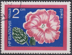1974 Bulgarien ° Mi:BG 2346, Sn:BG 2185, Yt:BG 2095, Hollyhock (Alcea Rosea), Blume - Usati