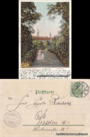 Ansichtskarte Riesa Partie Im Stadtpark 1903  - Riesa