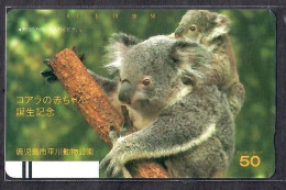 Japan 1V Kagoshima Hirakawa Zoological Park Koala Birth Annv. New Mint Unsed Card - Dschungel