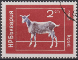 1974 Bulgarien ° Mi:BG 2320, Sn:BG 2159, Yt:BG 2072, Goat (Capra Hircus), Ziege - Ferme