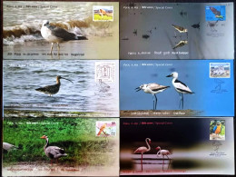 India 2024 Migratory Birds,Bar Headed Goose,Crab Plover,Euraian Curlew,Flamingo,Heuglin's Gull,Set 6 Sp Cover (**) Inde - Cartas & Documentos